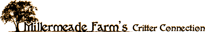 Millermeade Farm's