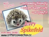 Jerry Spikesfeld