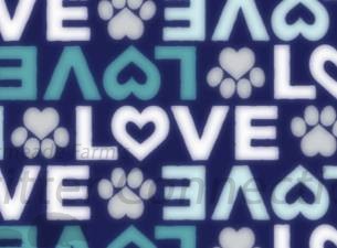 Navy love paws